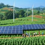 Visitors on a guided tour learning about sustainability at a cannabis farm powered by renewable energy in a vibrant rural setting.